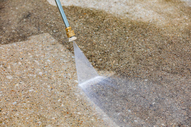 Best Building Exterior Washing  in Richmond, MN