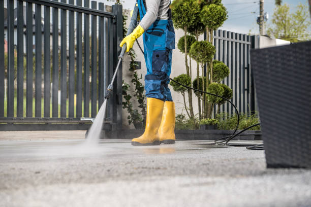 Best Rust Removal  in Richmond, MN
